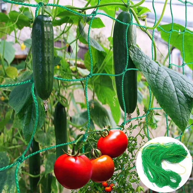 Rankhilfe Gurken Ranknetz für Gurken - Rankhilfe Garten Tomaten, Sehr Passend Netz für Kletterpflanzen Gewächshaus Zubehör, Pflanzennetz 180x270 für Garten Gewächshaus – Bild 5