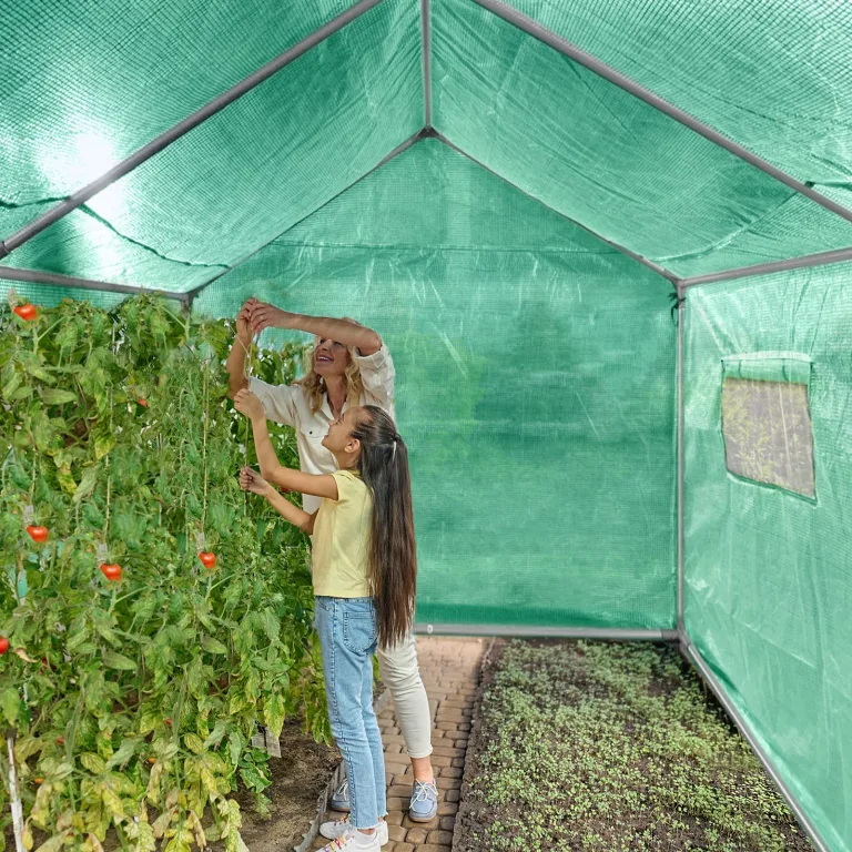 UISEBRT Gewächshaus Foliengewächshaus Winterfest Folientunnel Tomatenhaus Begehbares Treibhaus Frostschutz, 3x2x2m - 6m² – Bild 9