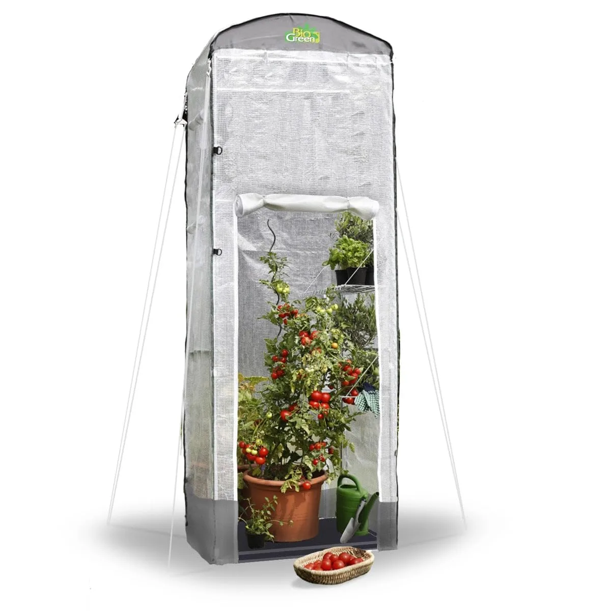 Bio Green Foliengewächshaus Patioflora 120 für Terrasse und Garten | Pflanzzelt ganzjährig einsetzbar | UV-beständig | 4 Belüftungsöffnungen | hohes Überwinterungszelt | L 120 x B 120 x H 300 cm - Bild 1