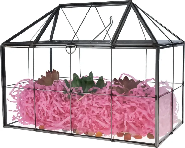Homtone 23 cm Großer Geometrischer Terrarium-Pflanzgefäß, Hausform, Schwarz, Handgefertigte Glasbox, Vintage-Tischplatte, Miniatur-Blumentopf für Sukkulenten, Kakteen (Schwarz) – Bild 5