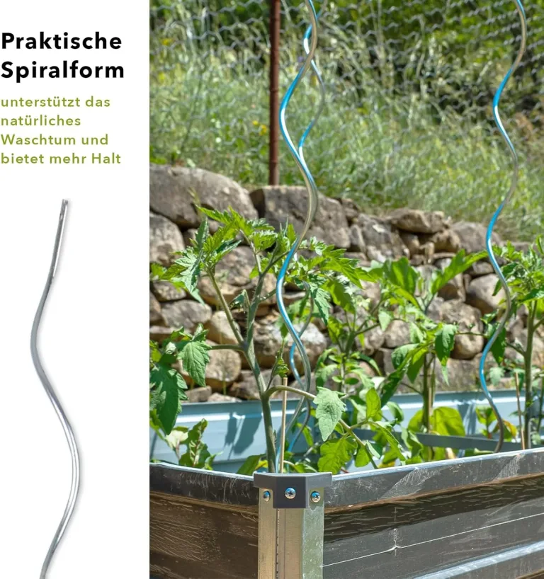 KARAT Tomatenspiralstäbe - 180 cm Länge - 10 Stück - Tomatenstab - Spiralstab - Rankstab - Tomaten Rankhilfe - Pflanzstab aus verzinktem Stahl – Bild 4