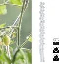 KARAT Tomatenspiralstäbe - 180 cm Länge - 10 Stück - Tomatenstab - Spiralstab - Rankstab - Tomaten Rankhilfe - Pflanzstab aus verzinktem Stahl - Thumbnail 7