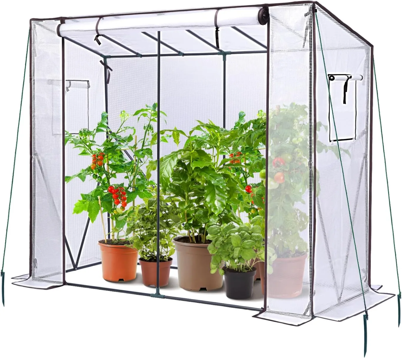 Ohuhu Gewächshaus Foliengewächshaus überwinterungszelt für Pflanzen, Begehbarer Gewächshaus Klein mit PE-Abdeckung Stabil 200x77x170 cm Winterfest Tomatenhaus für Optimales Pflanzenwachstum - Bild 1