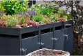 Metzler Mülltonnenbox in Anthrazit mit Pflanzdach 4er 240L, Mülltonnenverkleidung 4 Tonnen, witterungsbeständiger und pulverbeschichteter Stahl mit Automatikdeckel, abschließbar, Garten- und Müllbox - Thumbnail 7