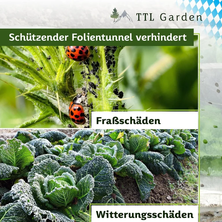TTL Garden Folientunnel Set Flex XL 32 mit PE Folie 10 x 2,5 m - 10 x Fiberglas Bögen & PE Anzuchtfolie 10x2,5m breit, Rund Bogen Abdeckung Frühbeet Hochbeet Gemüsebeet stabil langlebig & rostfrei – Bild 9