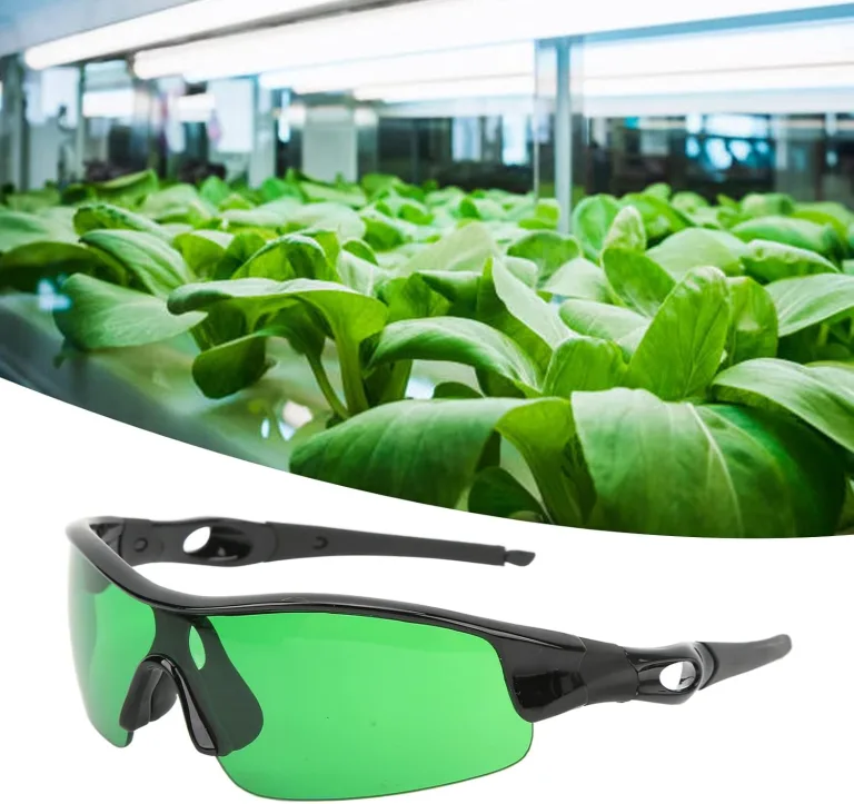Asixxsix Grow Room Gläser, Tragbare Indoor Hydroponics LED Grow Light Gläser, UVA UVB Blocking Grow Room Sicherheit Schutzbrille mit Aufbewahrungsbox für Grow Room Plant House Gewächshaus (Grün) – Bild 3