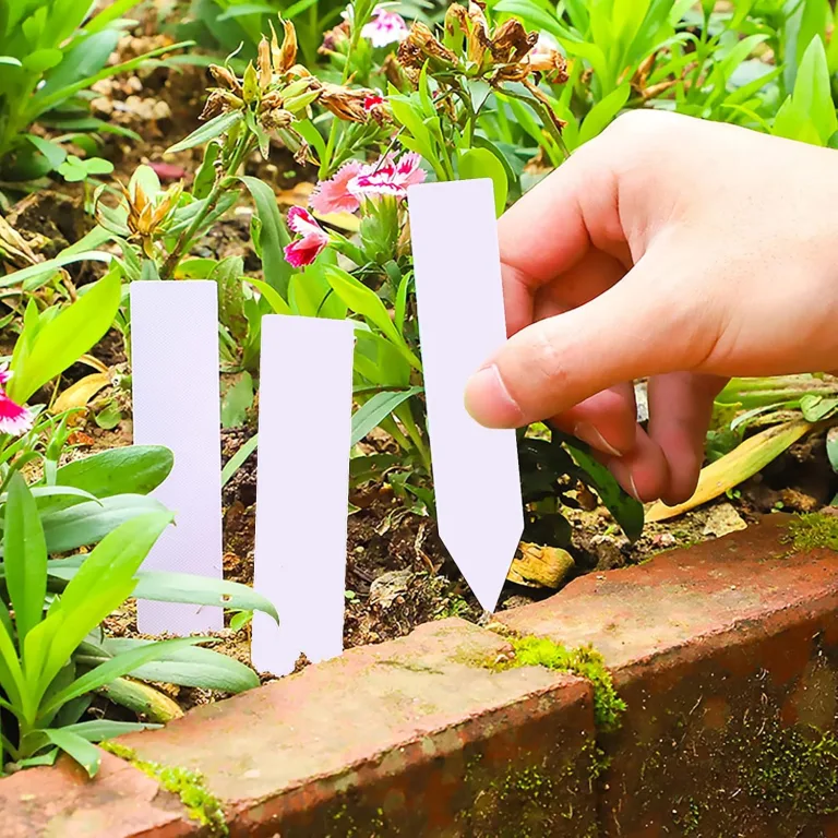500 Stück Pflanzenschilder,Gartenetiketten Pflanzen Etiketten,Kunststoff Pflanzenetiketten Wetterfest,Garten Pflanzenschilder mit 2 Filzstiften für Kindergarten Topf Gartenpflanze Tags Pflanzen Marker – Bild 4