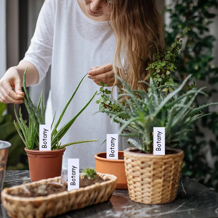 500 Stück Pflanzenschilder,Gartenetiketten Pflanzen Etiketten,Kunststoff Pflanzenetiketten Wetterfest,Garten Pflanzenschilder mit 2 Filzstiften für Kindergarten Topf Gartenpflanze Tags Pflanzen Marker – Bild 6