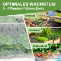 TTL Garden 10x2m PE Frühbeetfolie gelocht 20g/m² - transparente Gartenfolie für Folientunnel Anzuchtfolie Frühbeet & Hochbeet Wachstumsfolie Wärme Schutz vor Regen, Wind Frost - Thumbnail 6