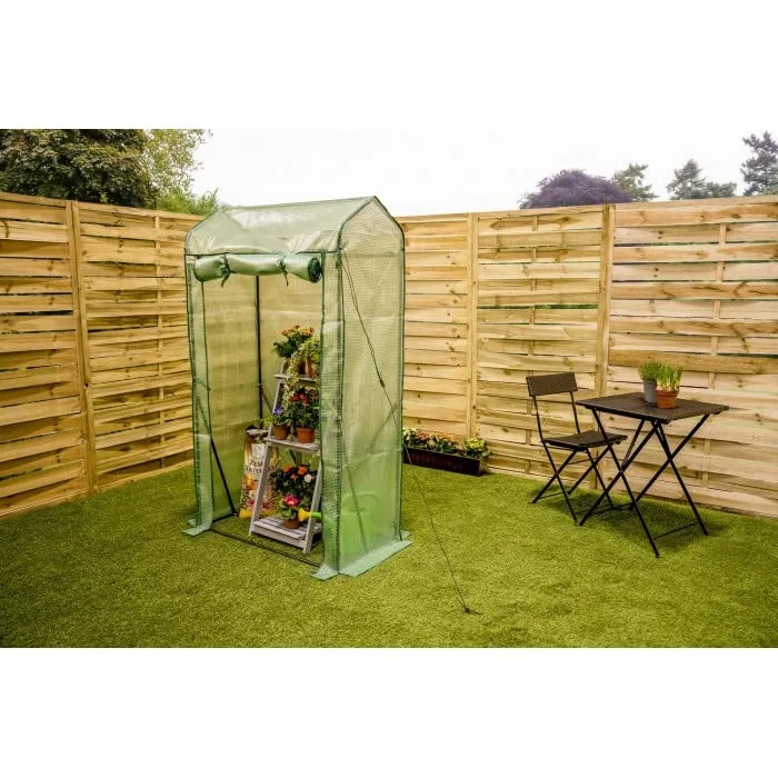 Grindi - Tomaten Gewächshaus, Foliengewächshaus mit PVC Folie und Fernster, Transparent, 100x50x170cm, Gewächshaus Klein, Garten, Balkon,Winterfest Tomatenhaus für Optimales Pflanzenwachstum – Bild 2