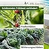 TTL Garden Frühbeet Aufsatz 100x60x40cm Alu & Polycarbonat - Hochbeet Kasten Mini Gewächshaus Frühbeetkasten 100 cm lang 60 cm breit, Wärme & Schutz für Pflanzen im Frühjahr, Deckel einstellbar – Bild 3