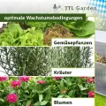 TTL Garden Frühbeet Aufsatz 100x60x40cm Alu & Polycarbonat - Hochbeet Kasten Mini Gewächshaus Frühbeetkasten 100 cm lang 60 cm breit, Wärme & Schutz für Pflanzen im Frühjahr, Deckel einstellbar - Thumbnail 7