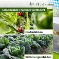 TTL Garden Frühbeet Aufsatz 100x60x40cm Alu & Polycarbonat - Hochbeet Kasten Mini Gewächshaus Frühbeetkasten 100 cm lang 60 cm breit, Wärme & Schutz für Pflanzen im Frühjahr, Deckel einstellbar - Thumbnail 8