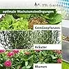 TTL Garden Frühbeet Aufsatz 100x60x40cm Alu & Polycarbonat - Hochbeet Kasten Mini Gewächshaus Frühbeetkasten 100 cm lang 60 cm breit, Wärme & Schutz für Pflanzen im Frühjahr, Deckel einstellbar - Thumbnail 2