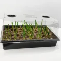 Zimmergewächshaus Anzuchtkasten, 4 Stück anzucht gewächshaus Set mit erhöhten Deckel, Setzling Starter Tabletts Treibhaus Anzuchtschale mit Deckel für Pflanze, Schwarz - Thumbnail 8
