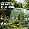 TOM Gewächshaus Foliengewächshaus Folientunnel 175g/m² extra stabil & langlebig – 4 Größen: 2x3m 3x4m 3x6m Gewächshaus mit Erdanker – 2 Türen – Fenster mit Insektenschutz – für Tomaten & Co. - Thumbnail 2
