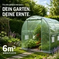 TOM Gewächshaus Foliengewächshaus Folientunnel 175g/m² extra stabil & langlebig – 4 Größen: 2x3m 3x4m 3x6m Gewächshaus mit Erdanker – 2 Türen – Fenster mit Insektenschutz – für Tomaten & Co. - Thumbnail 3