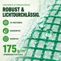 TOM Gewächshaus Foliengewächshaus Folientunnel 175g/m² extra stabil & langlebig – 4 Größen: 2x3m 3x4m 3x6m Gewächshaus mit Erdanker – 2 Türen – Fenster mit Insektenschutz – für Tomaten & Co. - Thumbnail 5