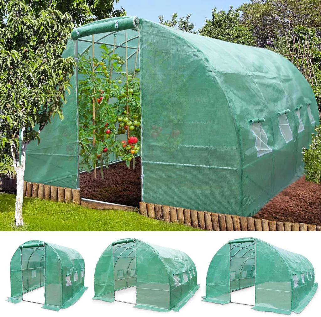 TOM Gewächshaus, Foliengewächshaus Folientunnel 175g/m² extra stabil & langlebig – 4 Größen: 2x3m 3x4m 3x6m Gewächshaus mit Erdanker – 2 Türen – Fenster mit Insektenschutz – für Tomaten & Co.