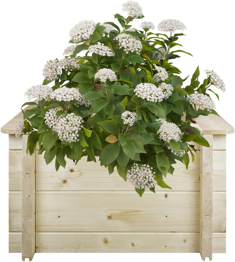 TIMBELA Hochbeet Holz - 58x58xH35 cm - Blumenbeet für Garten - Kräuterbeet - Pflanzkasten Holz - Hochbeet Balkon Garten Terrasse - Solid 28 mm Pine/Spruce Wood M616