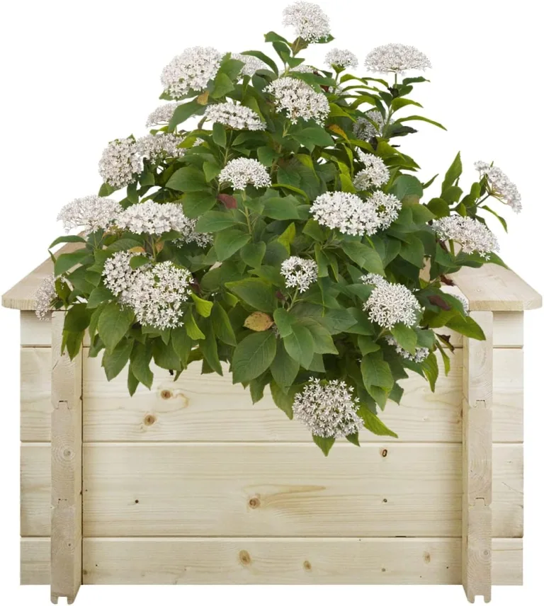 TIMBELA Hochbeet Holz - 58x58xH35 cm - Blumenbeet für Garten - Kräuterbeet - Pflanzkasten Holz - Hochbeet Balkon Garten Terrasse - Solid 28 mm Pine/Spruce Wood M616 – Bild 1