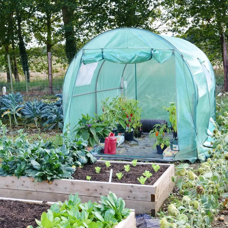 NATIV Foliengewächshaus | Tomaten Gewächshaus mit 6 Fenstern | Tomatenzelt aus extra Stabiler Gewächshausfolie | Tomatenhaus mit aufrollbarer Türe | Überwinterungszelt für Pflanzen 300 x 200 cm – Bild 6