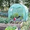 NATIV Foliengewächshaus | Tomaten Gewächshaus mit 6 Fenstern | Tomatenzelt aus extra Stabiler Gewächshausfolie | Tomatenhaus mit aufrollbarer Türe | Überwinterungszelt für Pflanzen 300 x 200 cm - Thumbnail 3