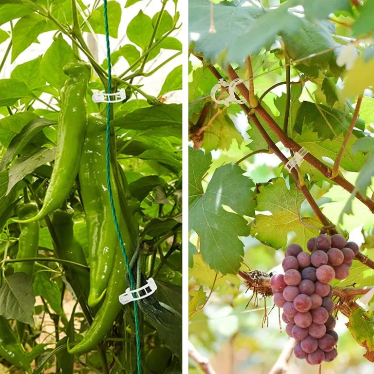 250 Stück Pflanzenclips,Tomatenclips Verbinden,Kunststoff Tomatenclips,Pflanzenklammern,Ranken Clips,Pflanzen Sicherung,Tomatenclips Verbinden Pfeffer Gurke Reben Ideal,für Pflanzen Sicherung – Bild 7