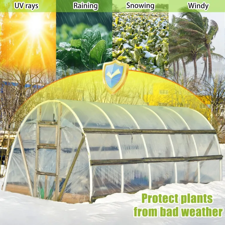 3m X 6m Gewächshaus Folie, Gewächshausfolie Winterfest, Folie für gewächshaus, Polyethylenfolie Transparent Gewächshausfolie, für Gartenarbeit Tomatenhaus Treibhaus Folie – Bild 3