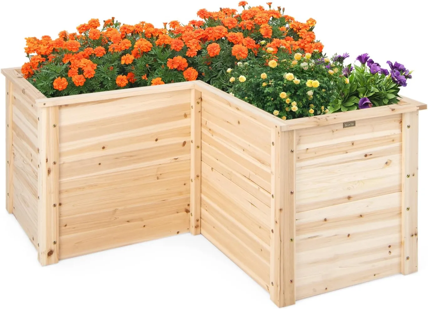 COSTWAY Erhöhtes Hochbeet Holz, Gartenbeet tief, Pflanzkasten mit offenem Boden, für Balkon Garten Terrasse, Pflanzenbeet L-förmig, Kräuterbeet Pflanzkasten, Tannenholz, 120 x 120 x 63 cm (Natur) - Bild 1