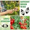 250 Stück Pflanzenclips,Tomatenclips Verbinden,Kunststoff Tomatenclips,Pflanzenklammern,Ranken Clips,Pflanzen Sicherung,Tomatenclips Verbinden Pfeffer Gurke Reben Ideal,für Pflanzen Sicherung – Bild 3