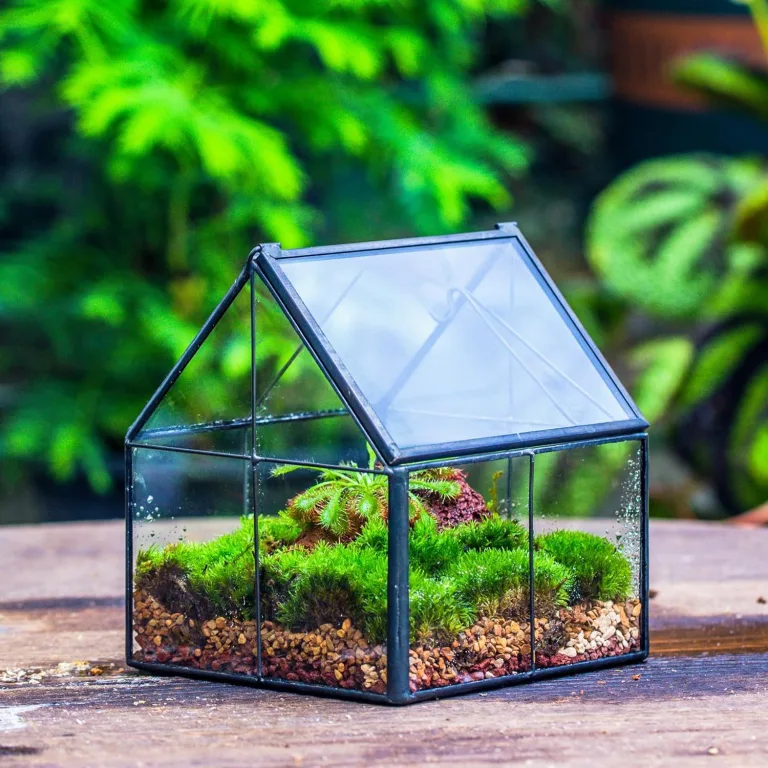 NCYP 10,8x10,8x12,5 cm Geometrisches Mini Pflanzenterrarium aus Glas mit Deckel, Schwarz Übertopf für kleine Sukkulenten Luftpflanzen, Handgefertigt Heimgarten Büro Tischdekoration (Nur Terrarium) – Bild 9