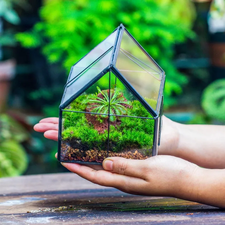 NCYP 10,8x10,8x12,5 cm Geometrisches Mini Pflanzenterrarium aus Glas mit Deckel, Schwarz Übertopf für kleine Sukkulenten Luftpflanzen, Handgefertigt Heimgarten Büro Tischdekoration (Nur Terrarium) – Bild 2