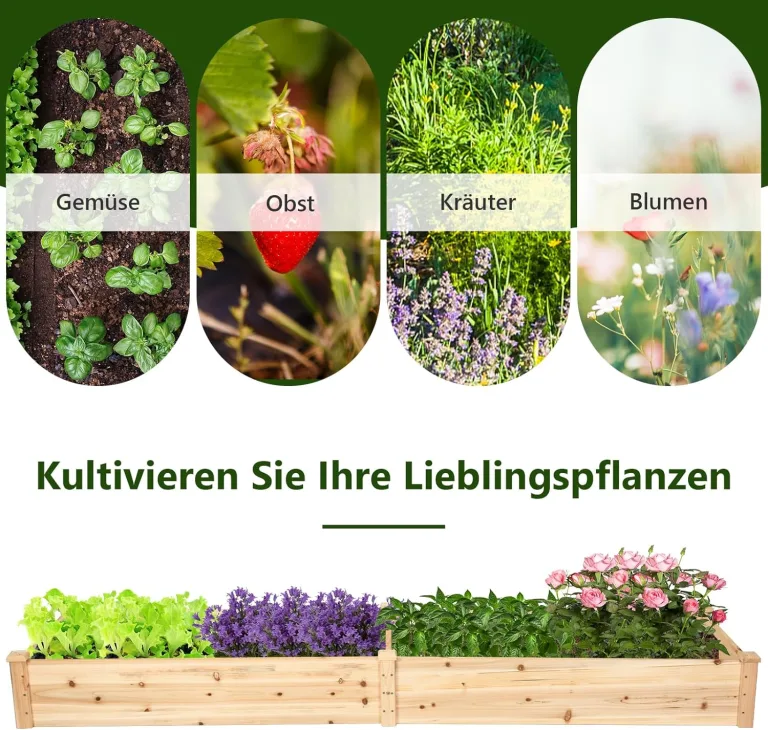 GOPLUS Hochbeet aus Tannenholz, Gartenbeet mit 2 Pflanzkästen & Trennwänden, Blumenkasten mit offenem Boden, Pflanzbeet Pflanzkasten Pflanzkübel für Blumen, Gemüse & Obst, 240 x 60 x 25 cm – Bild 6