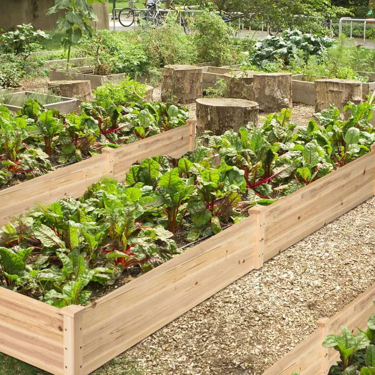 GOPLUS Hochbeet aus Tannenholz, Gartenbeet mit 2 Pflanzkästen & Trennwänden, Blumenkasten mit offenem Boden, Pflanzbeet Pflanzkasten Pflanzkübel für Blumen, Gemüse & Obst, 240 x 60 x 25 cm – Bild 9