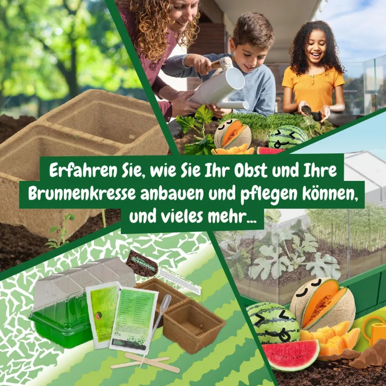 Science4you Mini Gewächshaus - Hausgärten Anbauset für Gartenaktivitäten, Pflanzen Sie Ihre eigene Brunnenkresse mit Mini-Anzuchset, DIY Kit, Kunst & Handwerk Geschenk für Kinder Alter 6 7 8 9+ – Bild 6
