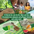 Science4you Mini Gewächshaus - Hausgärten Anbauset für Gartenaktivitäten, Pflanzen Sie Ihre eigene Brunnenkresse mit Mini-Anzuchset, DIY Kit, Kunst & Handwerk Geschenk für Kinder Alter 6 7 8 9+ - Thumbnail 6