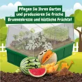 Science4you Mini Gewächshaus - Hausgärten Anbauset für Gartenaktivitäten, Pflanzen Sie Ihre eigene Brunnenkresse mit Mini-Anzuchset, DIY Kit, Kunst & Handwerk Geschenk für Kinder Alter 6 7 8 9+ - Thumbnail 3