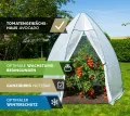 Westmann Überwinterungszelt Avocado | 250x250x250 cm | Pflanzenschutz & Foliengewächshaus zum Überwintern von Pflanzen - Thumbnail 6