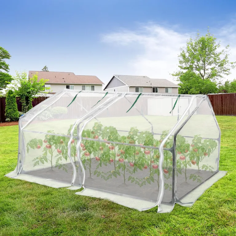 Aufun Mini-Gewächshaus Pflanzenwärmehaus Treibhaus Tomatenhaus mit Aufrollbare Tür, Tomatengewächshaus Foliengewächshaus für Außen und Innen, Hinterhof, 180 ×90×90 cm, Weiß – Bild 8