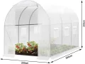 WOLTU Gewächshaus, Foliengewächshaus für Aufzucht Tomaten, Tomatenhaus Winterfest mit Tür 6 Fenstern, aus Stahlrohr PE, 200 x 200 x 300 cm, Weiß - Thumbnail 7
