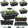 Mini Gewächshaus Anzucht, 3 Stück Zimmergewächshaus Anzuchtkasten, Setzling Starter Tabletts, Treibhaus Anzuchtschalen mit Deckel Belüftung - Thumbnail 9