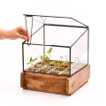 Modernes Gewächshaus als Deko, für Anzucht & für Kräuter | Aus Glas, recyceltem Holz und Metall | Zimmergewächshaus als Dekoration | 27 x 27 x 48 cm | - Thumbnail 10