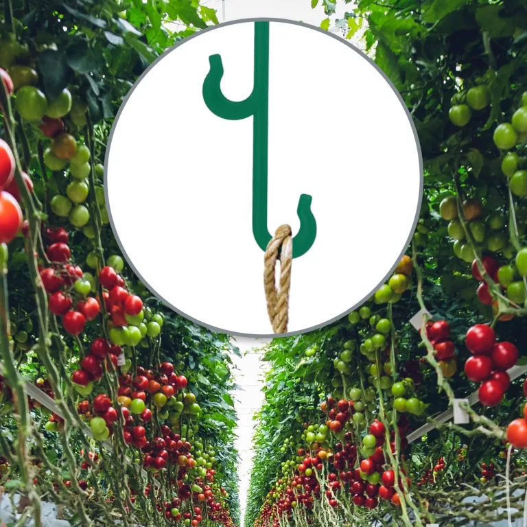 com-four® 120x Rispenhaken, Tomatenhaken, Pflanzenklemmen J-Haken - Rankhilfen für Kletterpflanzen - Pflanzenhaken für Rankgewächse - Stützklammern für Tomaten, Pflanzenclips, Tomatenclips – Bild 8