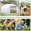 Outsunny Foliengewächshaus, 3,5 x 3 x 3 m Gewächshaus, Tomatenhaus mit UV-Schutz, Mesh-Fenster, Winddichtes Treibhaus für Garten, Balkon, Metall, Weiß - Thumbnail 2
