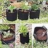 König Design 5X 30L Pflanzsack aus Vlies Stoff - 5er Set 30L Pflanztaschen aus 300 g/m² Filz & Vliesstoff - Pflanzgefäß Pflanzbeutel für Balkon Terrasse Gewächshaus & Garten – Bild 3