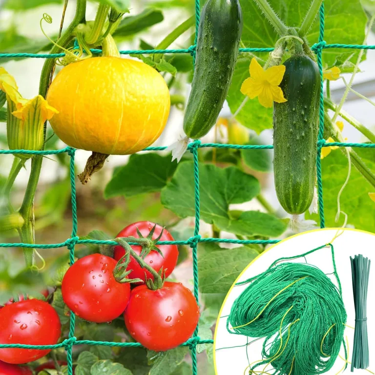 Rankgitter 2 x 3 m mit großem Masche, Gurkennetz, Rankgitter für Kletterpflanzen – ideal für Gurken, Tomaten, Gärten und Gewächshäuser – Bild 1