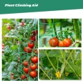 Rankgitter 2 x 3 m mit großem Masche, Gurkennetz, Rankgitter für Kletterpflanzen – ideal für Gurken, Tomaten, Gärten und Gewächshäuser - Thumbnail 8
