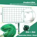 Rankgitter 2 x 3 m mit großem Masche, Gurkennetz, Rankgitter für Kletterpflanzen – ideal für Gurken, Tomaten, Gärten und Gewächshäuser - Thumbnail 5