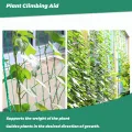 Rankgitter 2 x 3 m mit großem Masche, Gurkennetz, Rankgitter für Kletterpflanzen – ideal für Gurken, Tomaten, Gärten und Gewächshäuser - Thumbnail 7